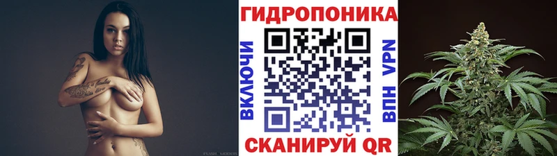 Меф мяу мяу Чехов