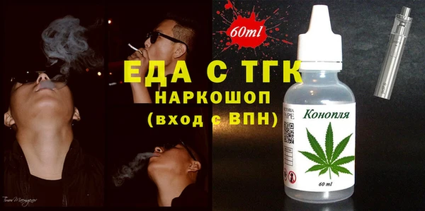 индика Алексин