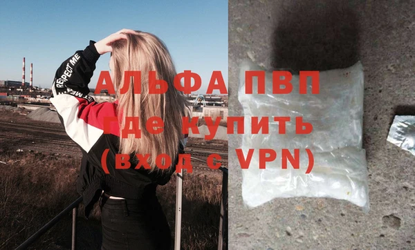 мяу мяу мука Абаза