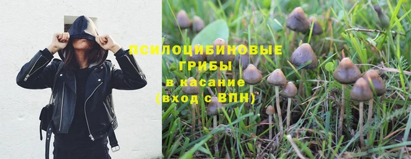 мяу мяу мука Абаза